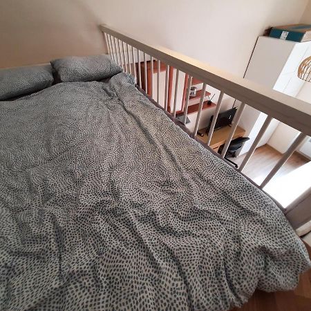 Krotkoterminowy Kat Wrocław Kültér fotó